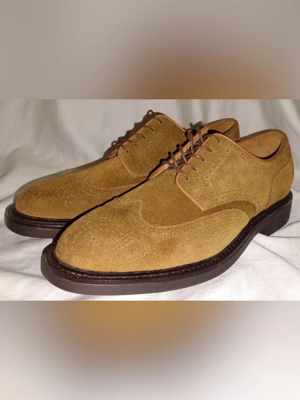 Polo Ralph Lauren Men's Asher LaceUp Suede Wingtip Oxford Shoe, Brown US 10 D US